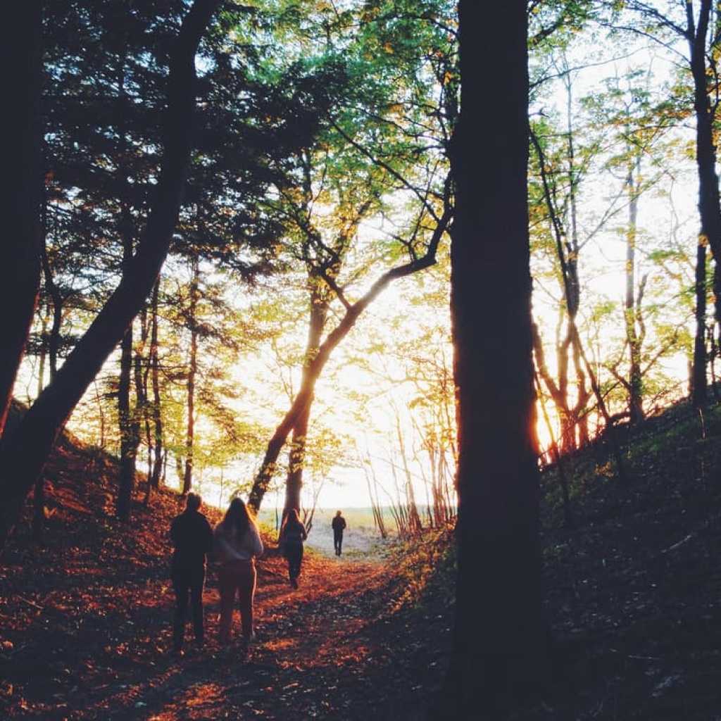 ooh ooh ooh ooh, staying alive.....