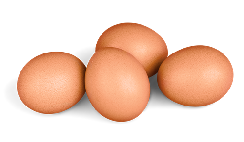 eggs
