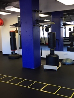 Fit Happens Spring 20175